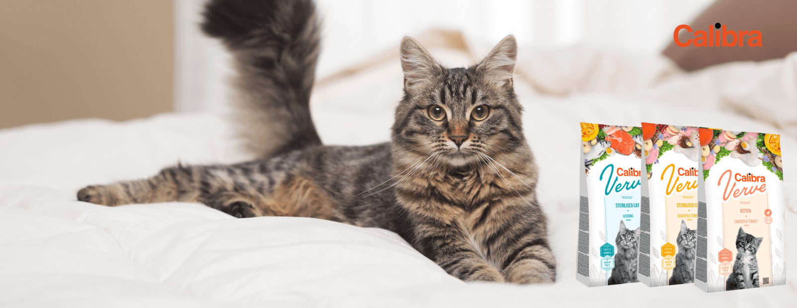 Iki -40% nuolaida Calibra Verve sausam pašarui katėms